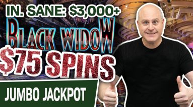 🥳 IN. SANE: $3,000+ in SLOT WINS on My FAVORITE Machine 🕸 $75 SPINS on Black Widow!
