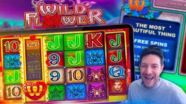 WILD FLOWER! 5 Bonuses On The New Big Time Gaming Slot!