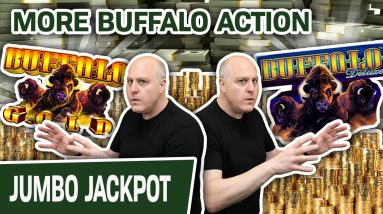 🌟 Even MORE Buffalo Action! 🌟 GIANT JACKPOT on Buffalo Deluxe + Buffalo Gold Too!
