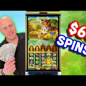 🛕 Big Bets = Big Jackpots on Golden Jungle 🐅 $60 Max Bet Slot Wins!