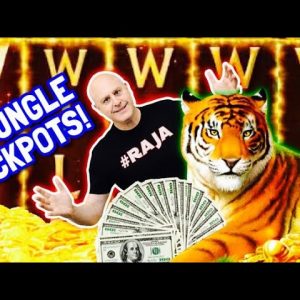 🐅 Full Screen of Tigers & Wild's Oh My! 🐅 High Limit Golden Jungle Jackpots!