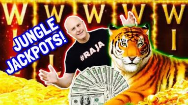 🐅 Full Screen of Tigers & Wild's Oh My! 🐅 High Limit Golden Jungle Jackpots!