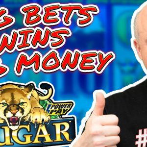 🐆 Big Bets Wins Big Money on Wild Cougar & Screaming Links 🦁 Max Bet Slot Bonus Action