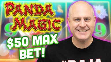 🐼 $50 Max Bet Panda Magic Dragon Link 🐼 How Big Will My Jackpot Win Be?