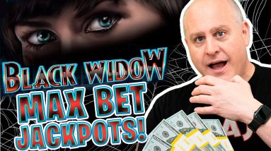 🕷️ Black Widow Max Bet Jackpots! 🕸️ IGT Slot Jackpot Bonus Wins On The Raja's favorite Game@