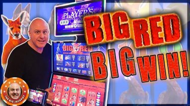 Mighty Big Massive Jackpot Win on Big Red 🦘 Max Bet Bonus Round With Missive Tree Hits!