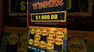 OMG!! My ALL-TIME JACKPOT RECORD Was Broken on Dragon Cash! #SHORTS